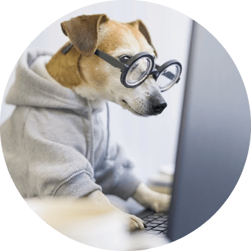 dog research