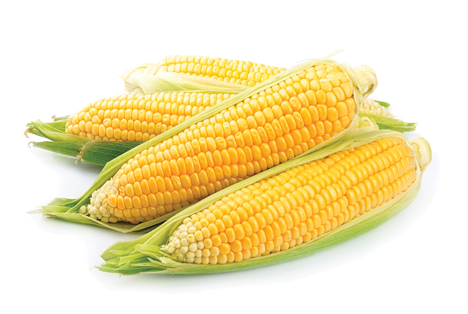 Three ears of yellow corn