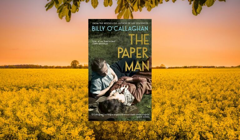Cover of the book The Paper Man by Billy O'Callaghan with a field of yellow flower background