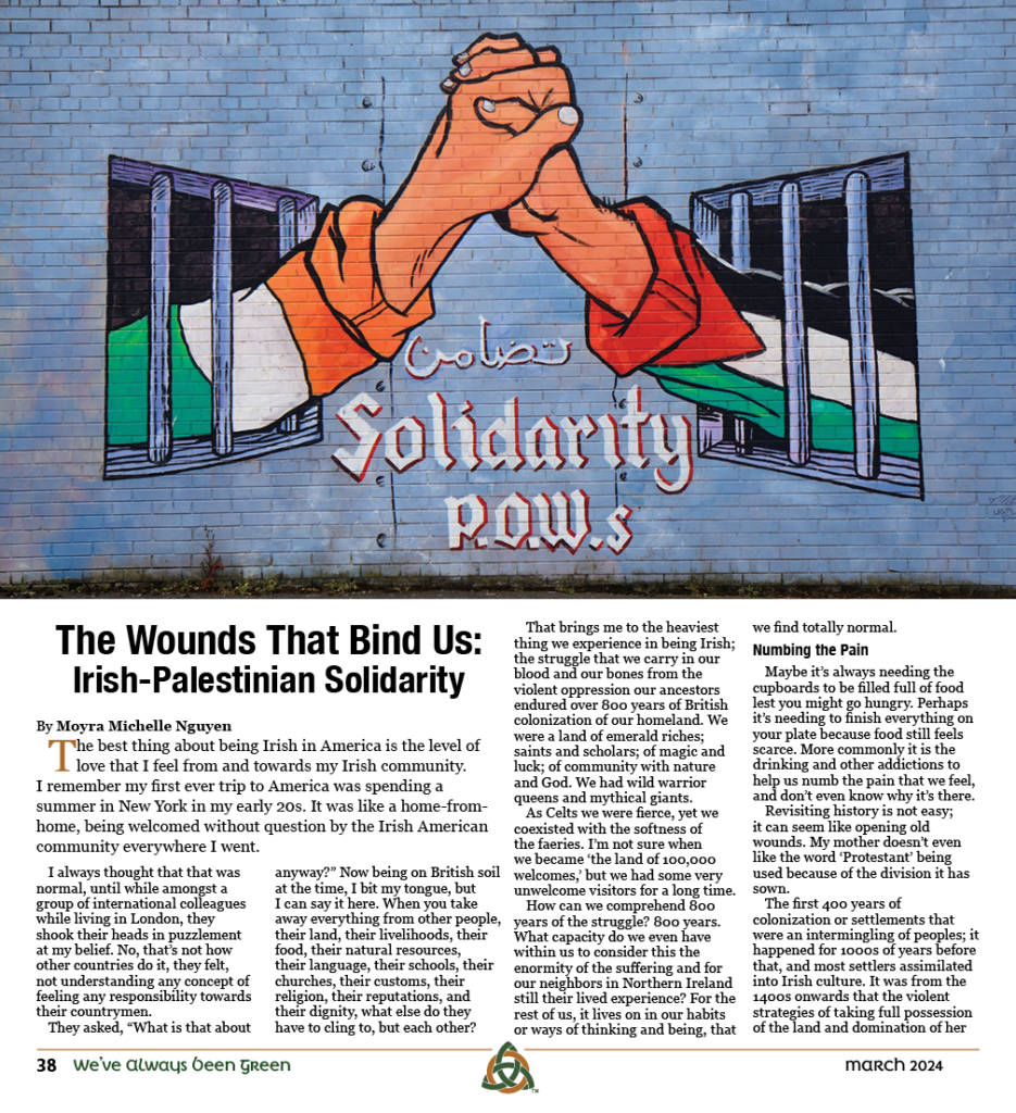 Irish Palestinian Murals