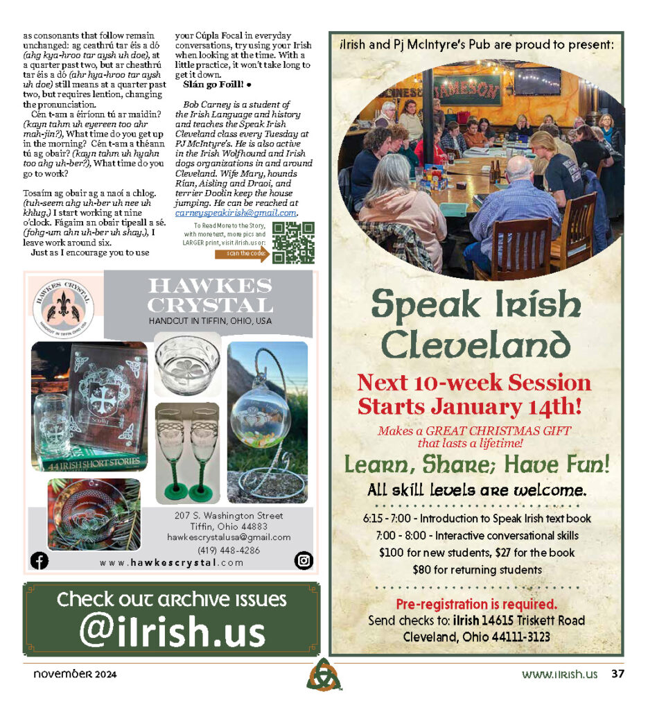 speak Irish tear sheet