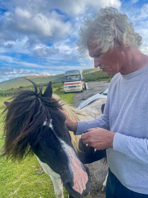 Horse whisperer