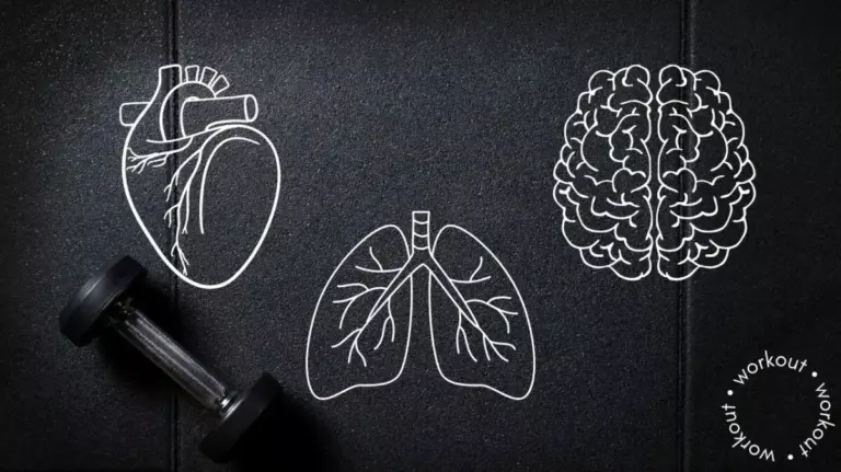The Fitness Doctor: