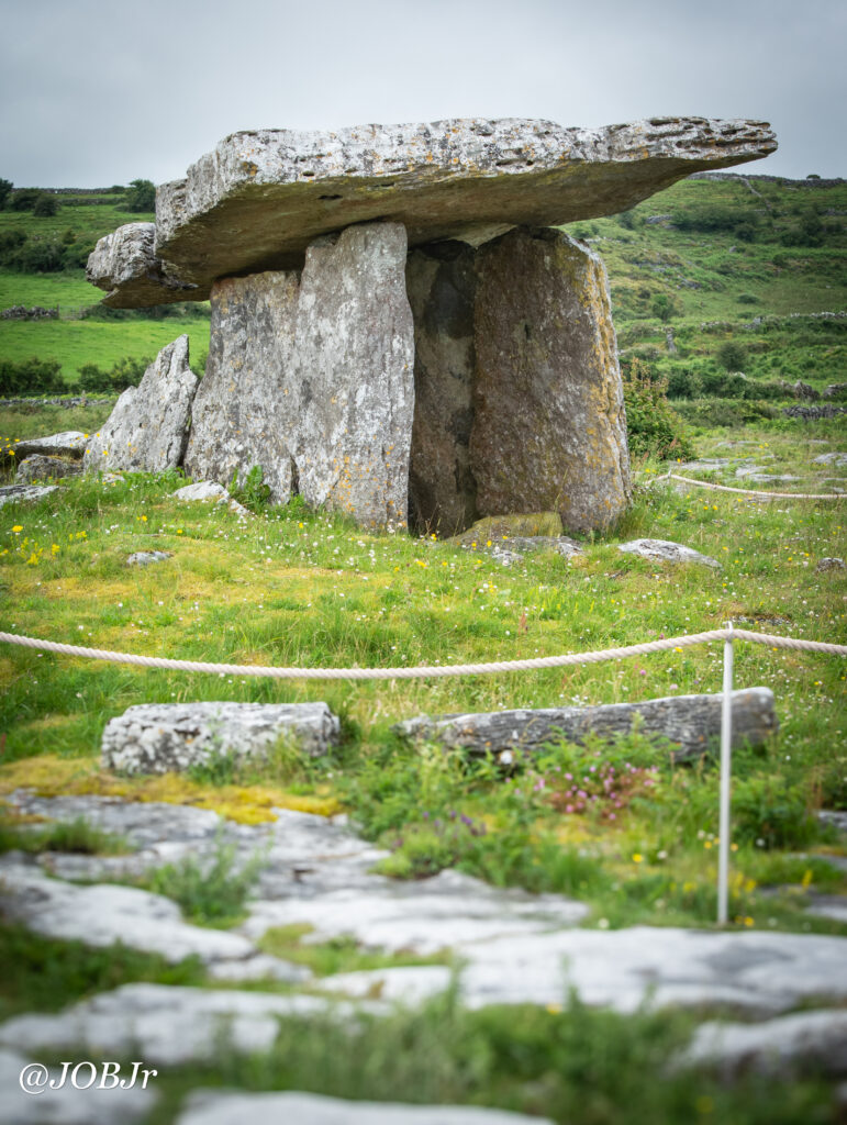 Dolman
