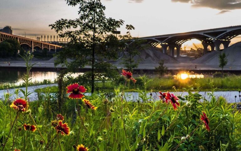 40 Years of Canalway Partners (Video)