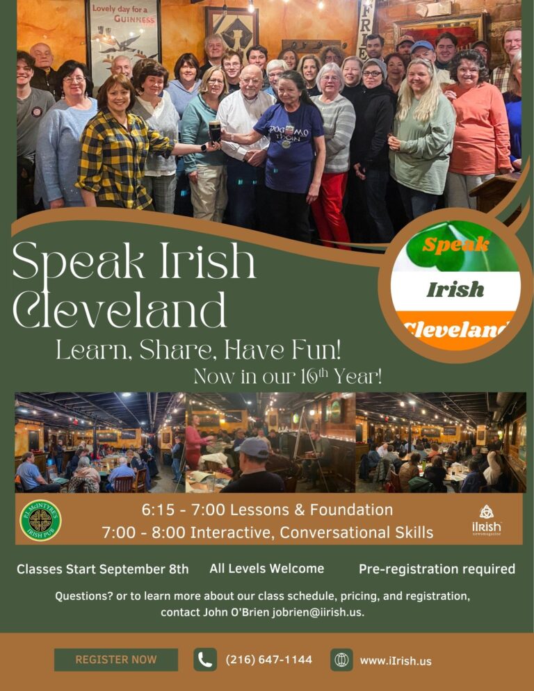 Got Irish? Would You Like to Learn?
